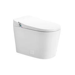 iWASH CS-70 Bidet Toilet